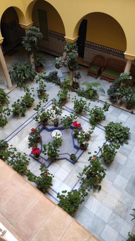 Conteros Sevilla Urban Ngoại thất bức ảnh